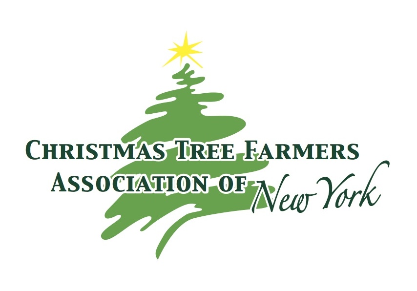 Minutes from Board Meeting on June 29, 2020