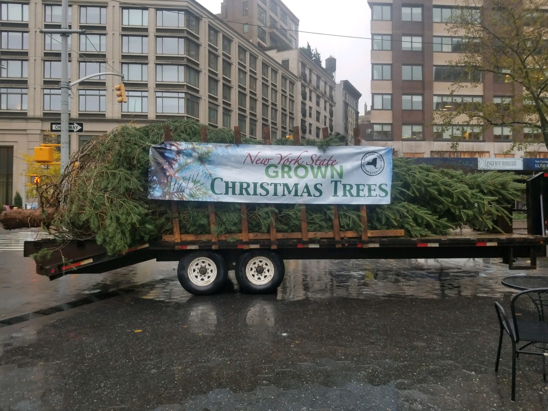 2019 Rockefeller Christmas Tree from Hudson Valley | Christmas Tree Farmers Association of New York