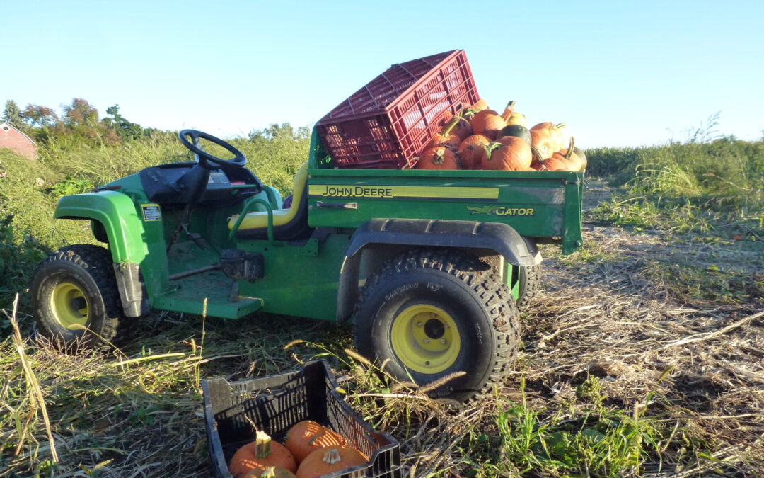 Governor Cuomo Announces New State Guidance for Agritourism Businesses as Fall Approaches