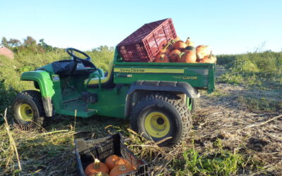 Governor Cuomo Announces New State Guidance for Agritourism Businesses as Fall Approaches