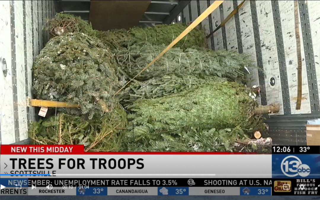 Trees for Troops still on for 2020