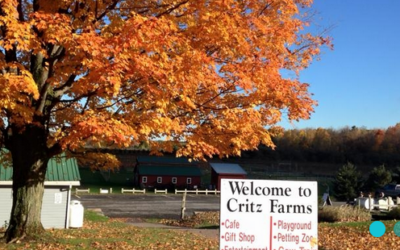 Critz Farms Fall Harvest Celebration